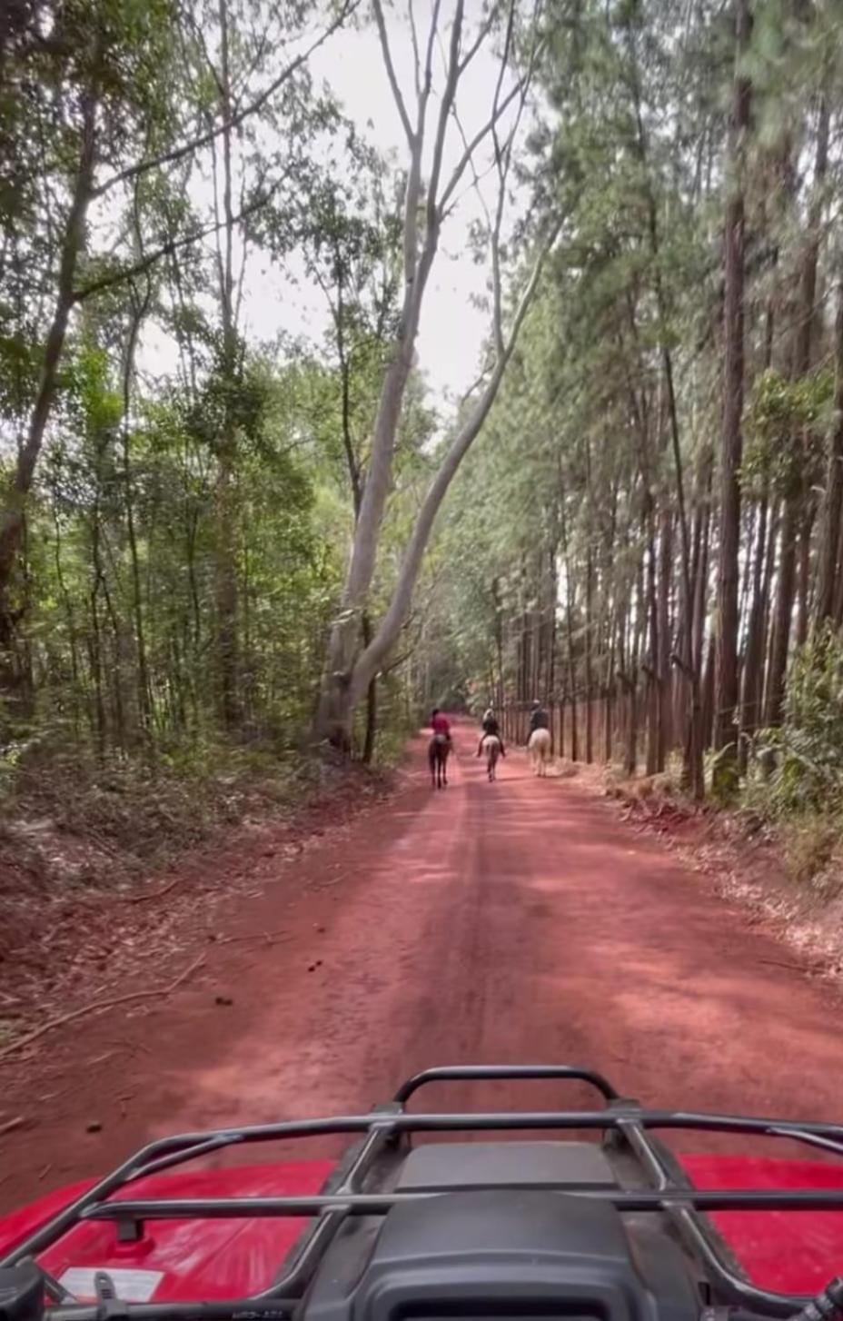 Canto Da Lua - Macacos 4* Nova Lima
